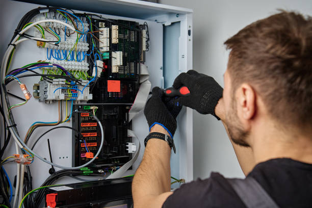Licensed Electrical Panel Upgrade service in Oronoco, MN - No Joke electrician